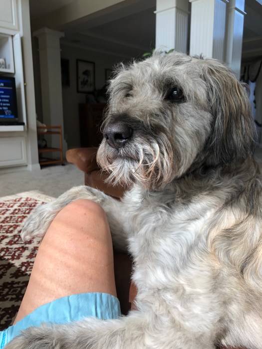 7AF828E0-5C2F-4DF8-9575-D969BE70E5CD