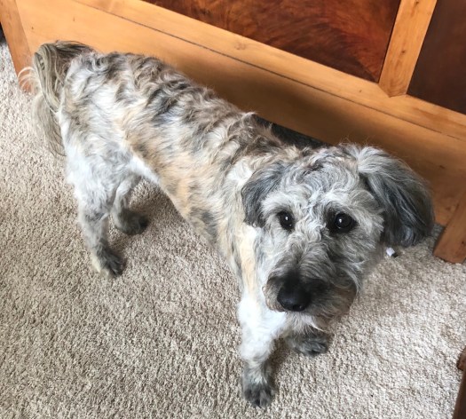 7B12A5C2-4A2E-478C-8770-3F71396F15BF