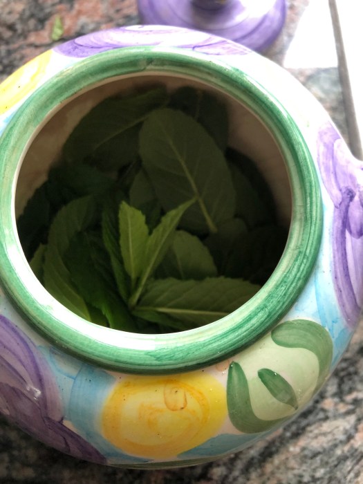 7B56EFC2-C47D-40F3-9204-ABA748BC2E7D