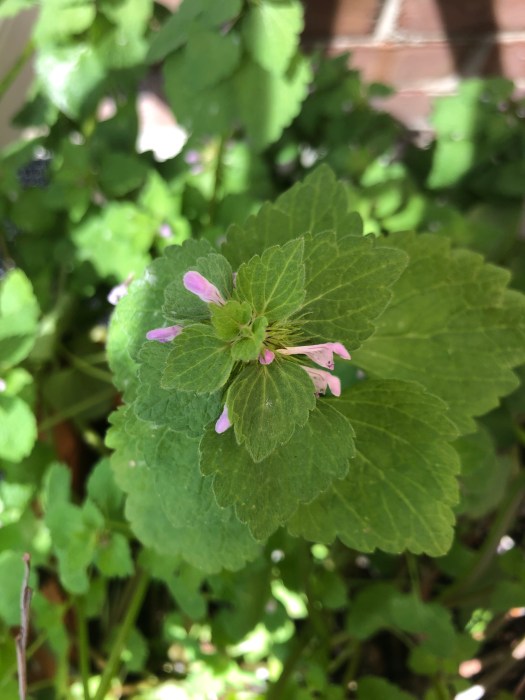 819650B3-116F-4BC8-B245-FD9859D2F2BC