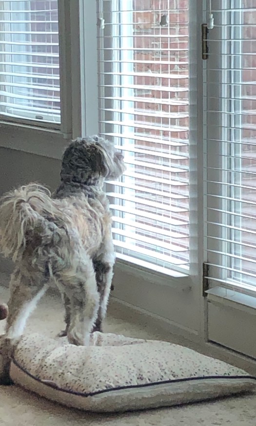 82FC04C5-8560-42FC-9B96-CF801713D016