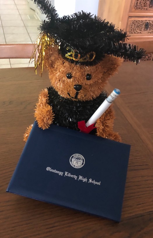 8389324E-3DE7-4D3D-89F8-33EA491EE04C