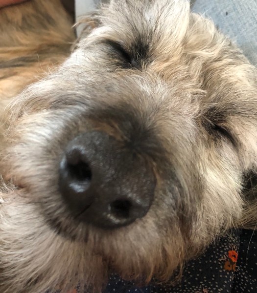 920F40D2-1B53-49BA-B716-5CAEA2CF7CAC