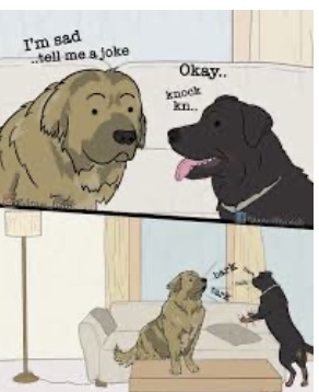 952332C4-FBD8-4B3E-B2E7-2EFC53EED444