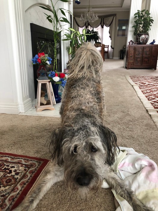 988AFB81-98B1-40A4-94BC-E39ADD453957