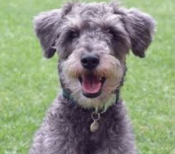 98E1DA47-22E4-47E4-B6C3-769EFB2B521D