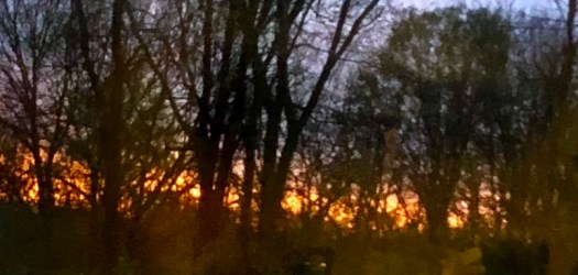 9A3E68E2-0DF1-45FE-94F1-E7663BB05C00