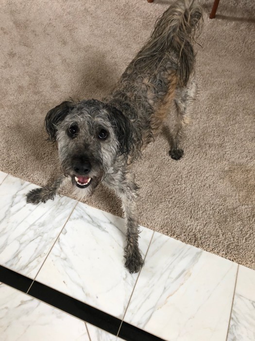 A2B564E6-90E0-46EE-AA64-E7D6759D3185