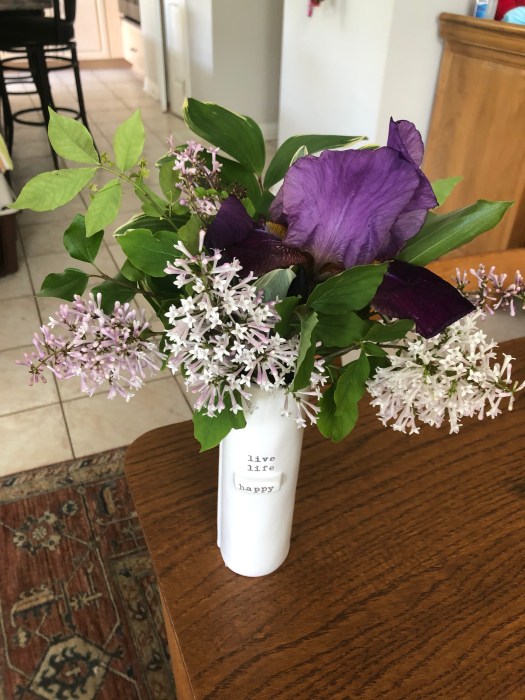 A379664F-EC56-45E5-8D0D-FB1B47F54335