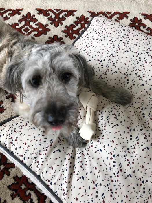 A4EBB309-885E-4223-94E1-C7B86C4F0021