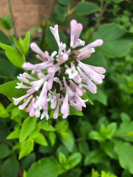 AA2F2CBE-BBD3-411D-AA8B-2DE9D5F0BB5F