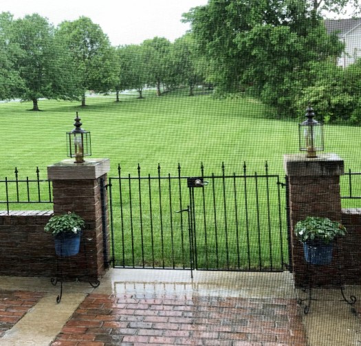 AFEADACC-D6CB-4D15-99F5-BB36A3A52720