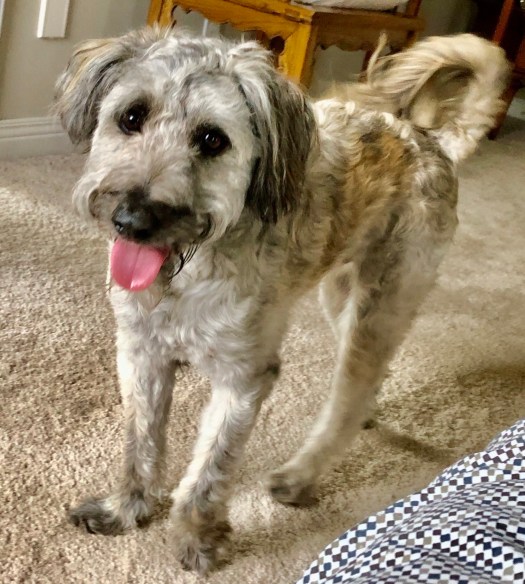 B488BA5E-F1E6-49D4-AB76-E23EBC81995E