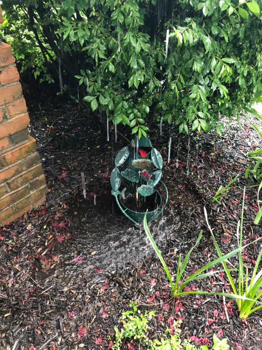 BCA49DC6-E33C-46ED-8C18-121AAF5D5999