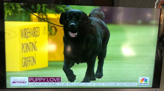 C0450648-D9AD-4531-A888-906079FE54AF