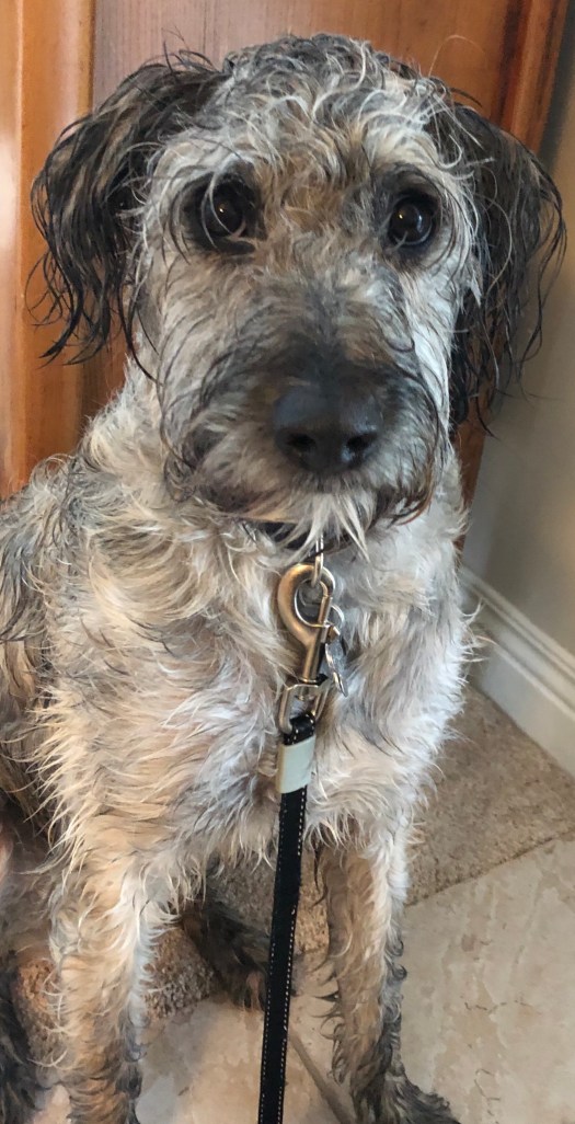 C1BF5C3F-3C14-4EC5-9328-9B54B3BE4651