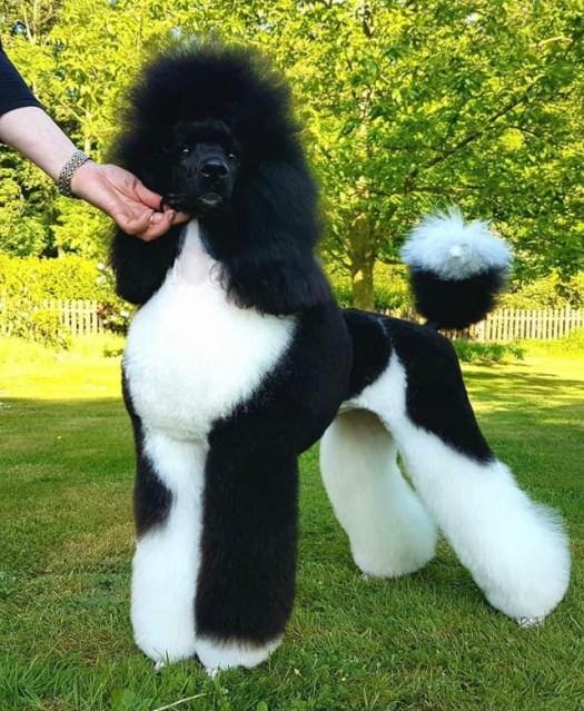 C281514F-6317-4979-8BFE-F93D6EB2618B