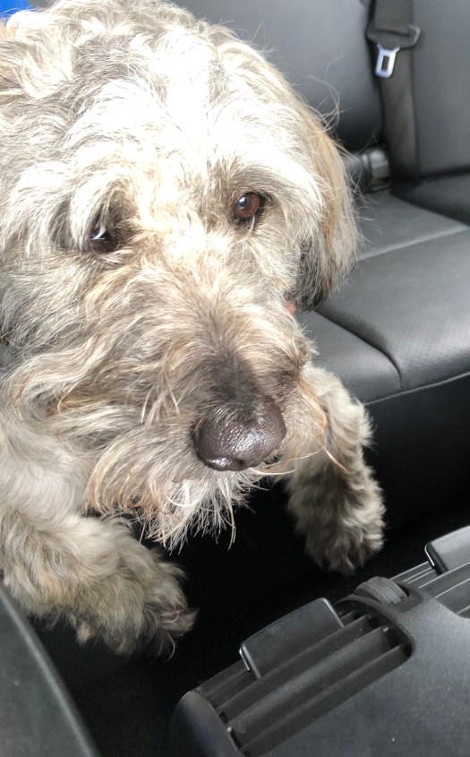 CC7D01C7-9F1F-4DBC-A01F-3325723D49FA