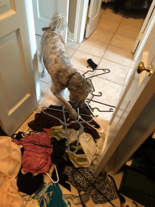 D2741D6A-EBCB-430E-B6E6-7B444A5B1EBF