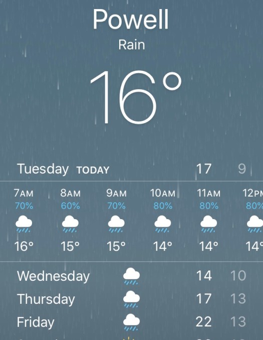 D5D1EDD9-689A-46B2-AA11-F5D8CCD818E0