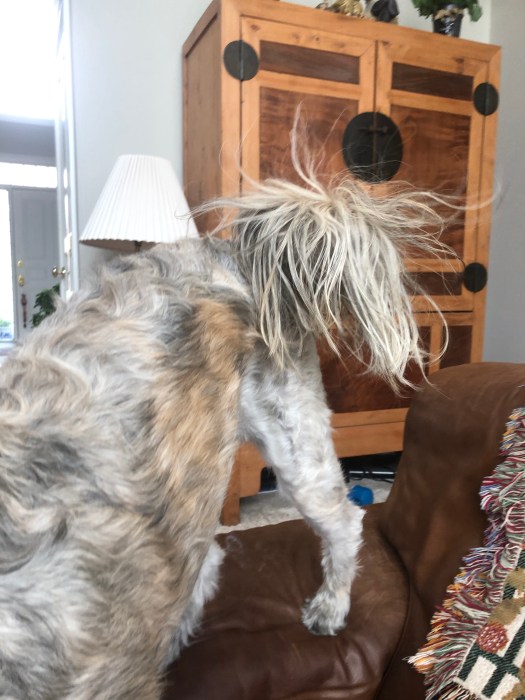 D65E01E6-7A4C-416D-83E0-93C34976CFA6