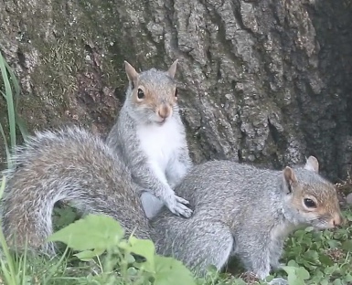 DA9B6A79-76DF-4DBC-BB5F-FD267B11696C