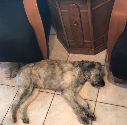 E24A0FD5-C489-416A-A8E9-1A237D056B1C