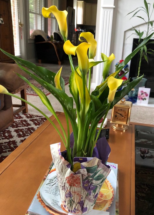 E5BAFFD8-EA7B-4B7A-A268-315626AC4534