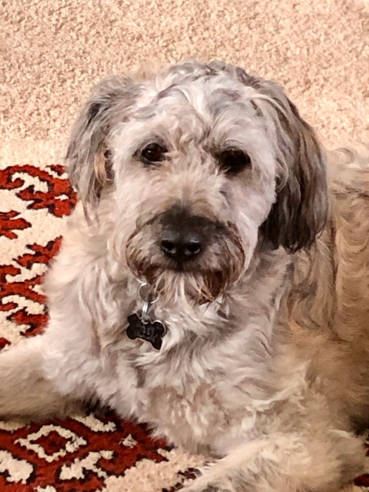 EF817A39-5069-4D62-9B5C-58082FCB2FAE