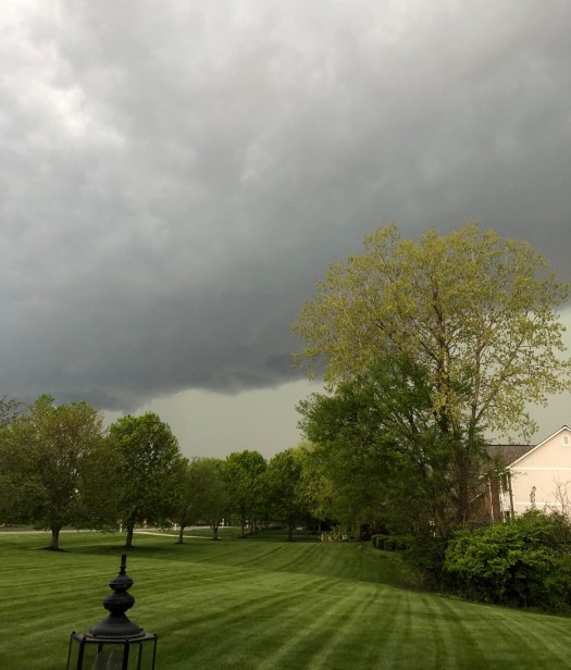 F01888EE-6745-496F-9B31-E794E625138A