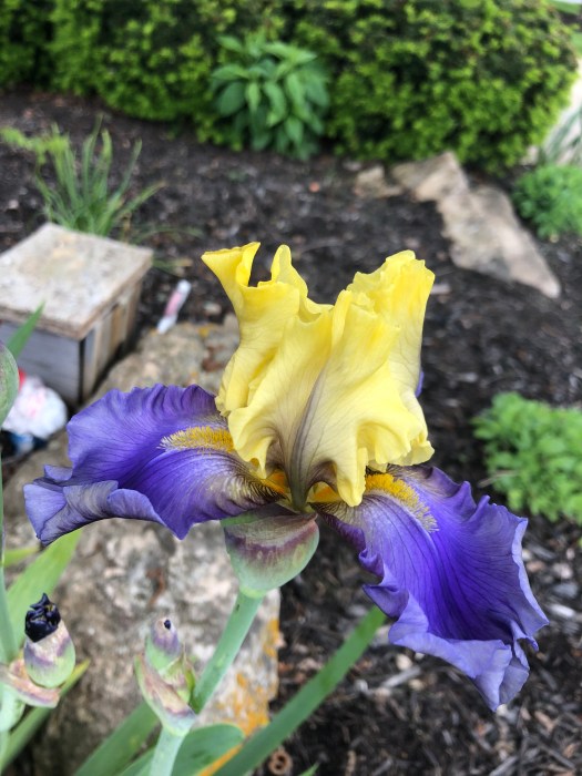 FDB25B1B-FEED-47EE-A598-9DC45CDBE4BF