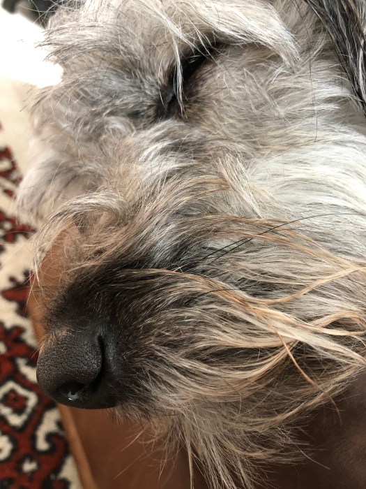 0594BFEA-7E39-4616-A32D-E4DB6A4E7BD7