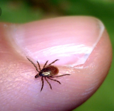 0751C73F-AE7F-4971-80A3-F9F50979C9E7