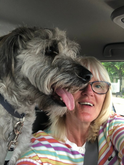 0A97F683-C56C-41A6-811F-1A2A93CDE05F