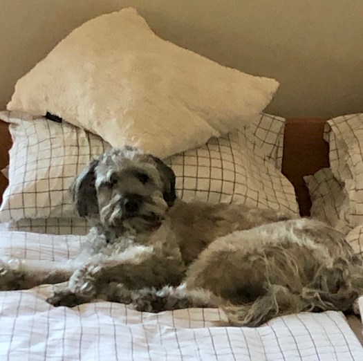 105FD6DC-E929-4AA6-9F74-F3E026146E93