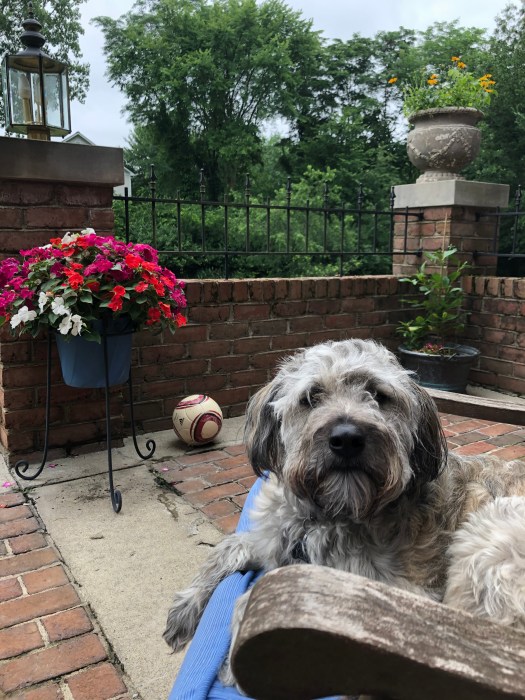 10F5FD79-287B-4B6E-A010-AFC0DEC519C7