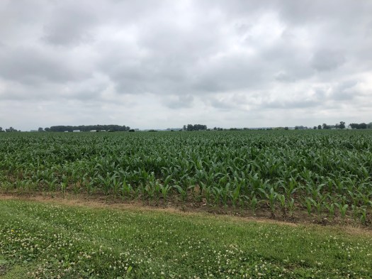 1406D2F6-F742-418F-9887-A8C2283FF9F5