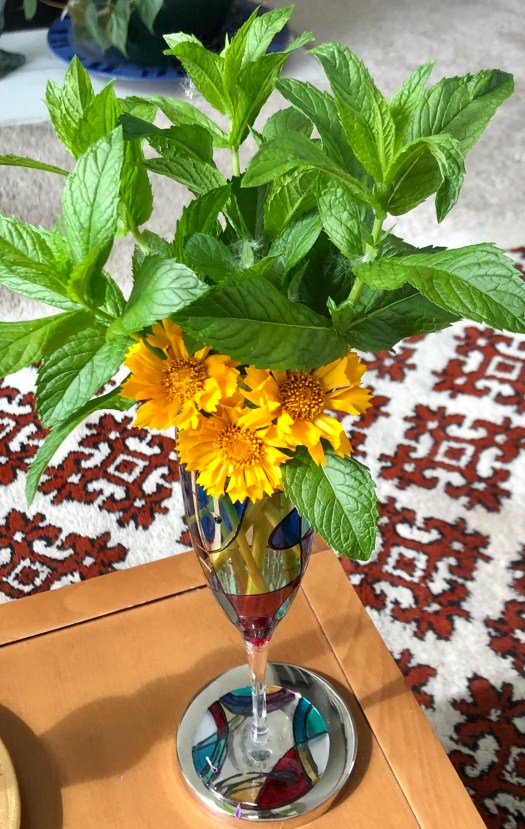 149EB01F-FB6A-41FC-8A19-1A29FC7ACC37