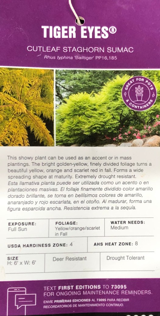 16996E40-A04B-489A-95B1-B831B9BF44AD