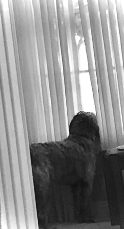 1E03CE1C-31F4-46DC-A8AB-94559A3F2617