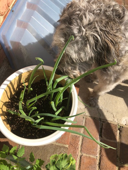 2291B137-D095-44FD-AA7A-66484BCFCA8D