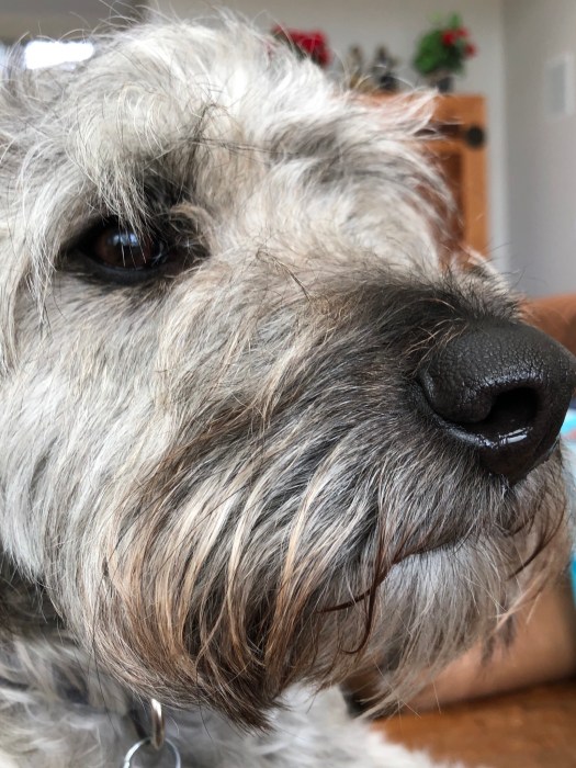 24A10912-337B-4F90-8E3E-DB4DFD5F4F70