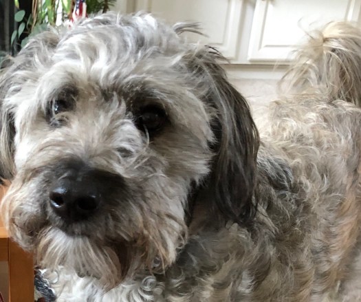 26609D5F-EEEA-4228-9F69-412D5CC71CA6