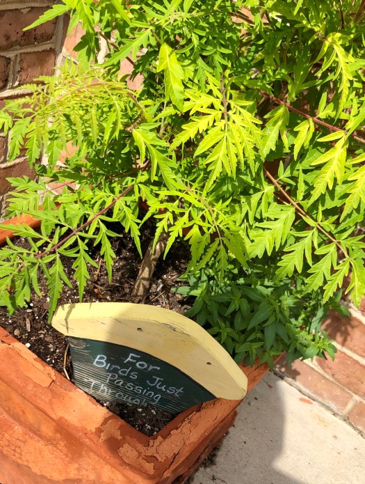 27538370-08B6-4DC2-9793-4E68952287B1