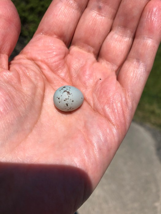 2B536254-74AC-4BF2-AEB7-B5E173518CBE