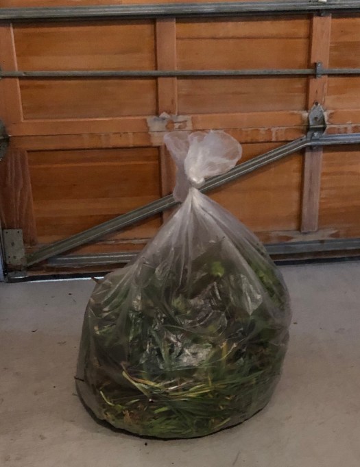 2C108D3D-FC2C-4826-828A-0341376D458E