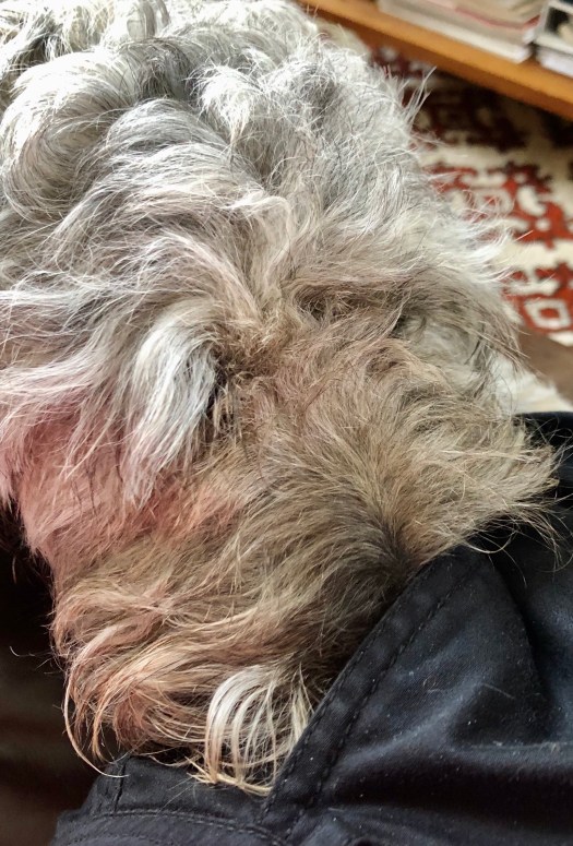 2FD5743A-6B44-406A-9AF8-BA2F59435026