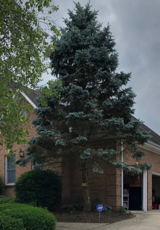 30E33D51-7E46-431F-9C4C-3124173777D8