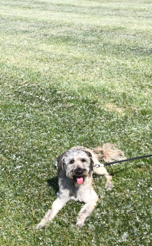 3813D2EA-6B89-4162-9603-38FE147BCD1A