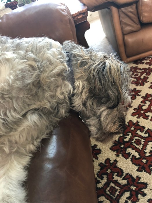 388E3D43-ACB5-44A6-B7F4-0605D6D9AD85